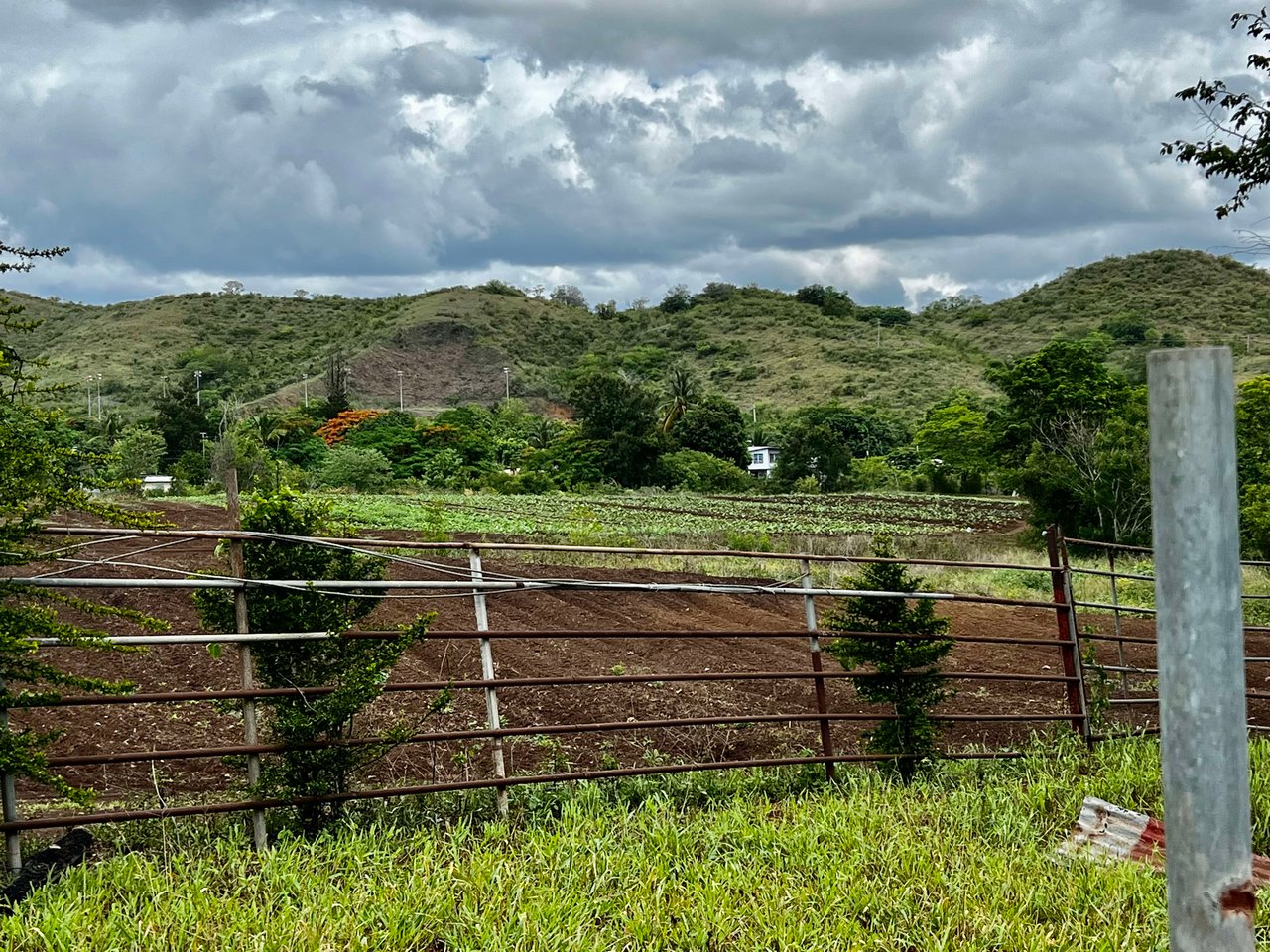 256  Acres  Precioso Coamo