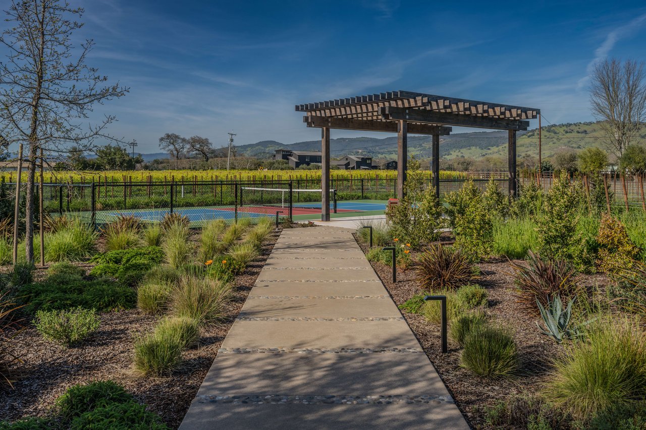 Yountville Vineyard View, Yountville