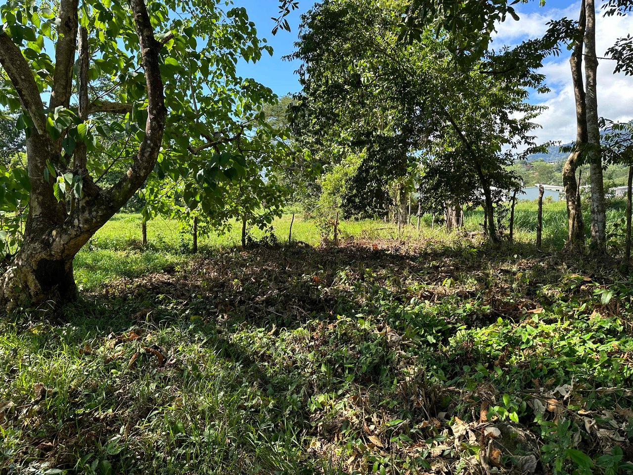 Over 3 Acres, Mountain View Lot in the Heart of Ojochal, Ready for Development!.
