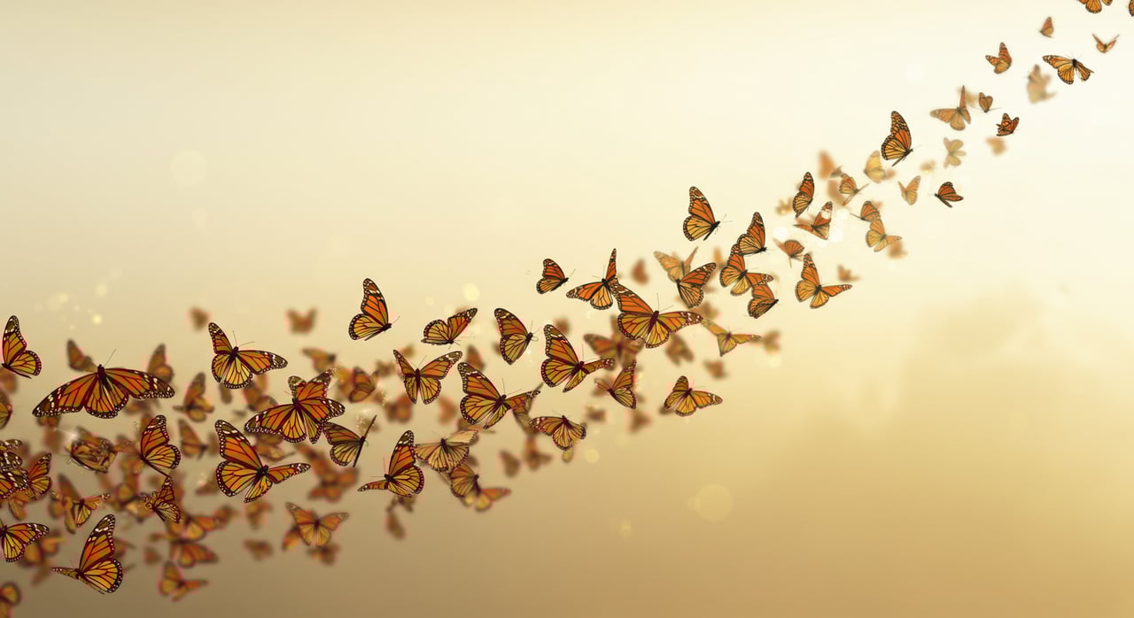 May 2022 | Issue No. 14