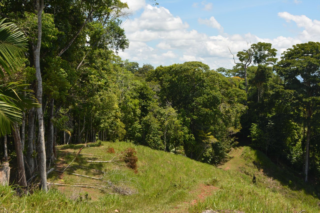 Osa Peninsula Los Mogos Magic Golfo Dulce Views 71 Acres