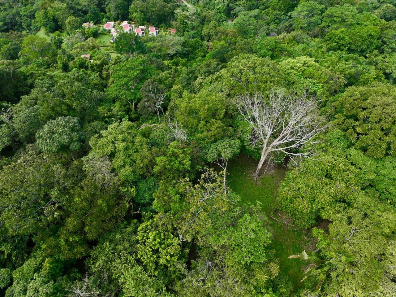 Private Waterfall Ocean View Land, Ojochal, Puntarenas