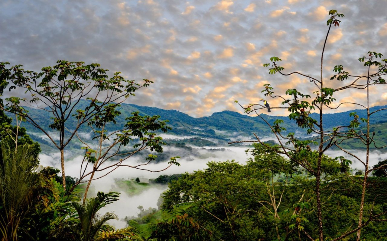 Exploring Costa Rica’s Diverse Microclimates and Sunny Guanacaste Weather