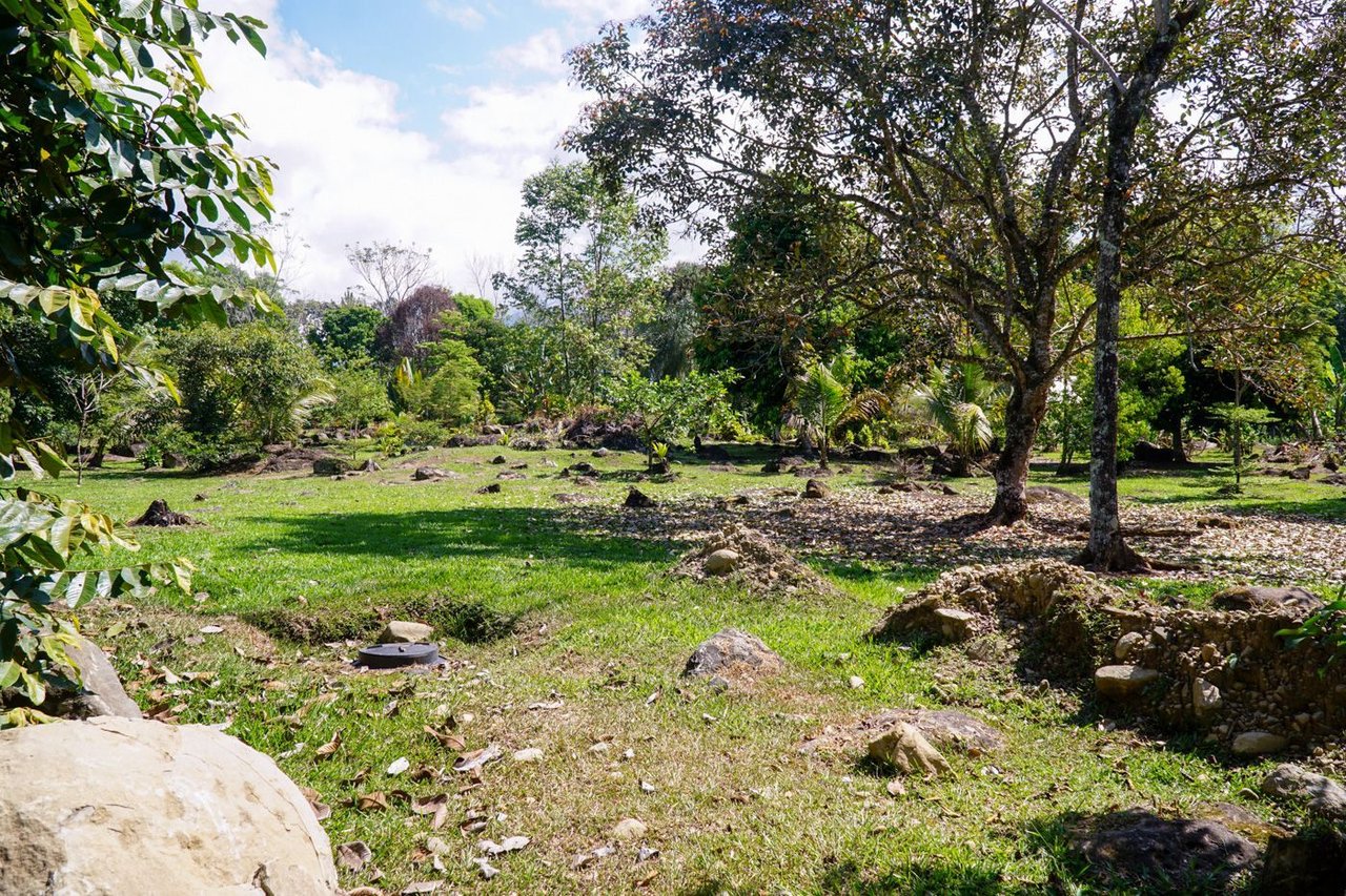 Creekfront Country Acreage Home, Perez Zeledon, San Jose