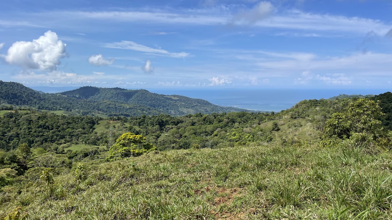 Whales Tail and Ocean View Farm, Over 39 acres