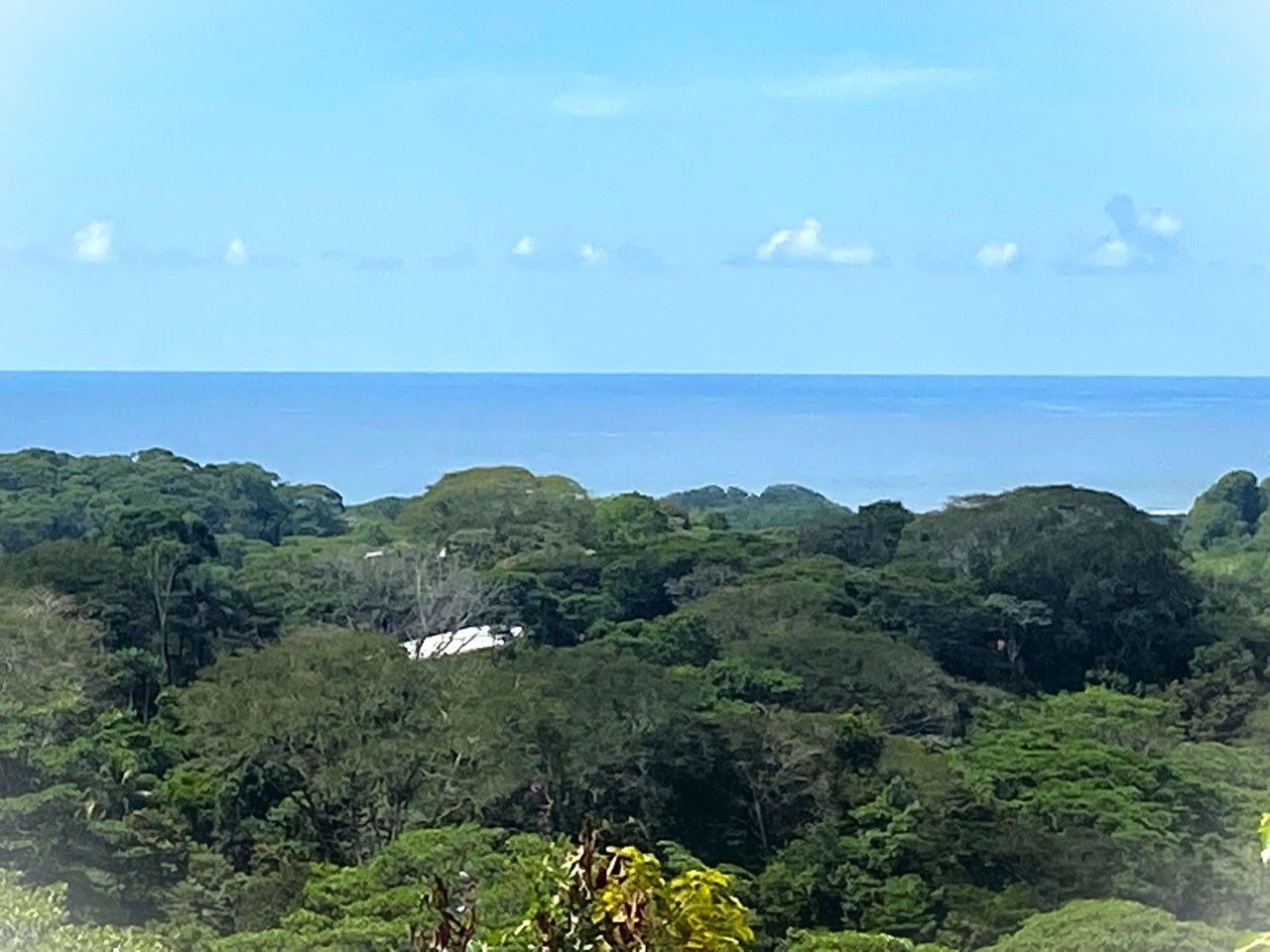 3.98 Acres, Ocean View Property In Finca Maranon With Legal Water! Ojochal 