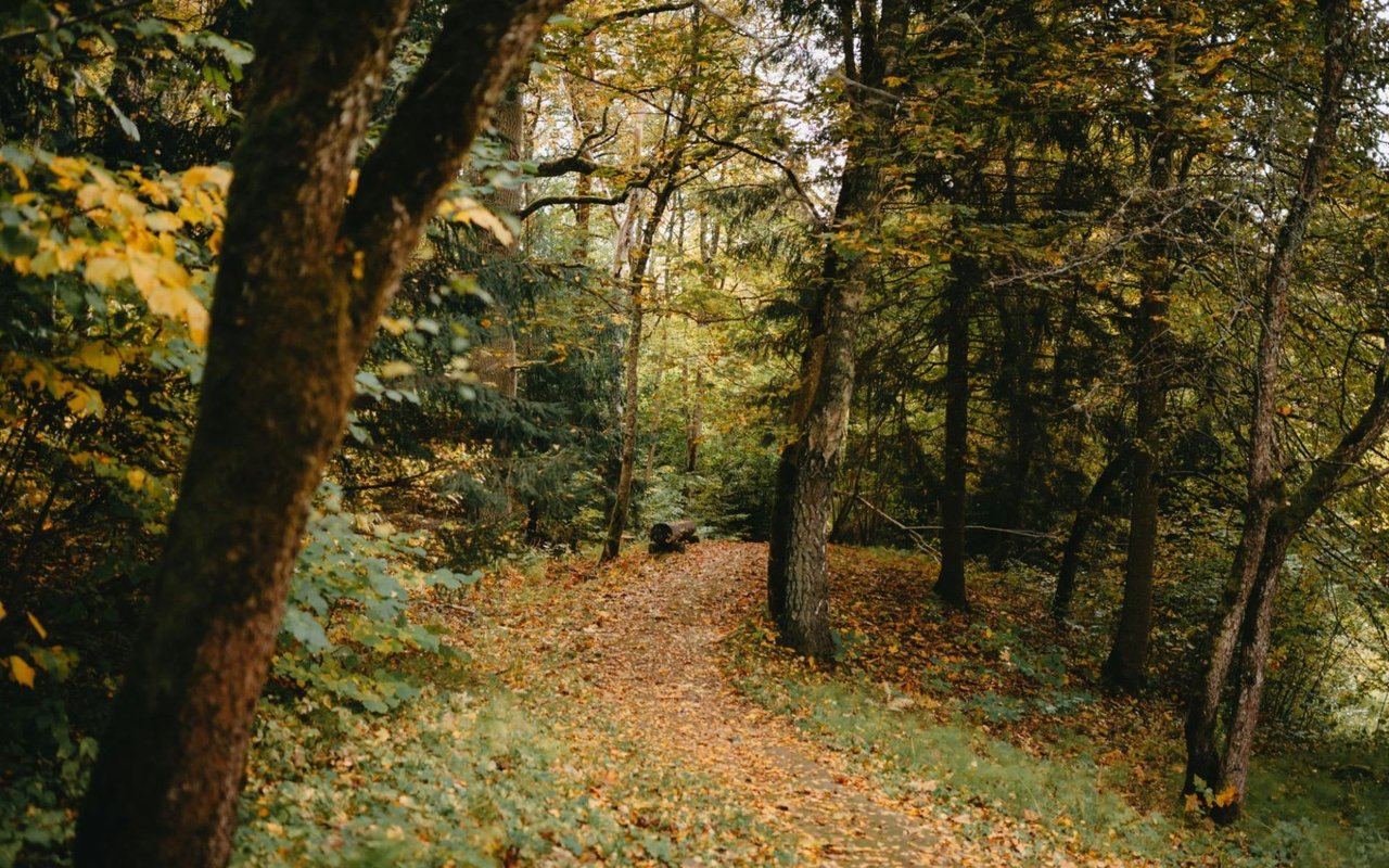 A Guide to Litchfield County Parks