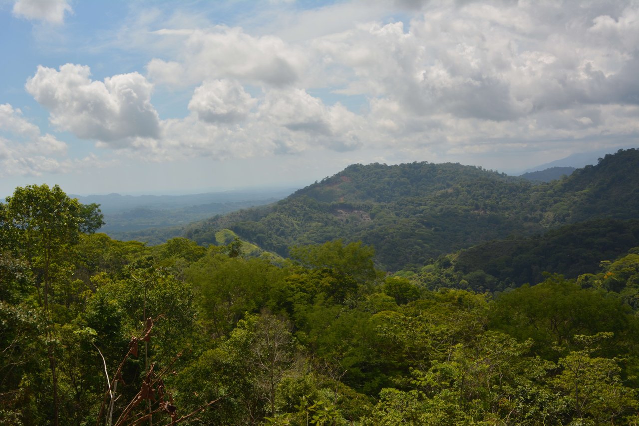 42 Acres With Waterfalls, Ocean Views & Multiple Building Sites Sliencio Ariba