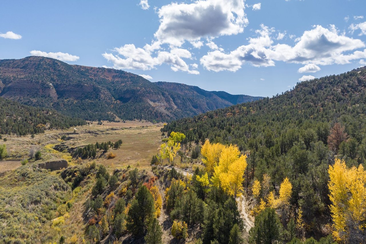 Weber Creek Ranch