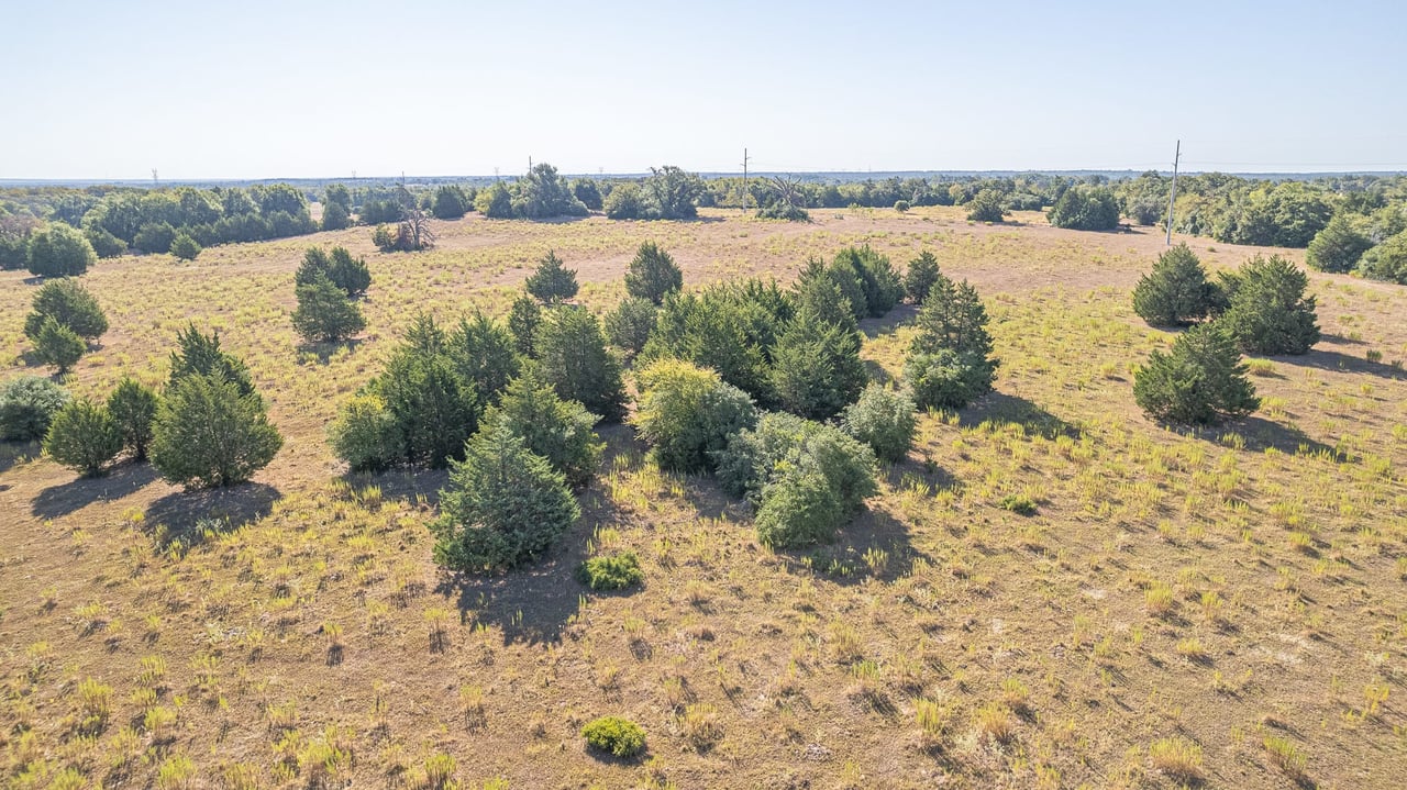 59.59 Acres in Brazos Valley region