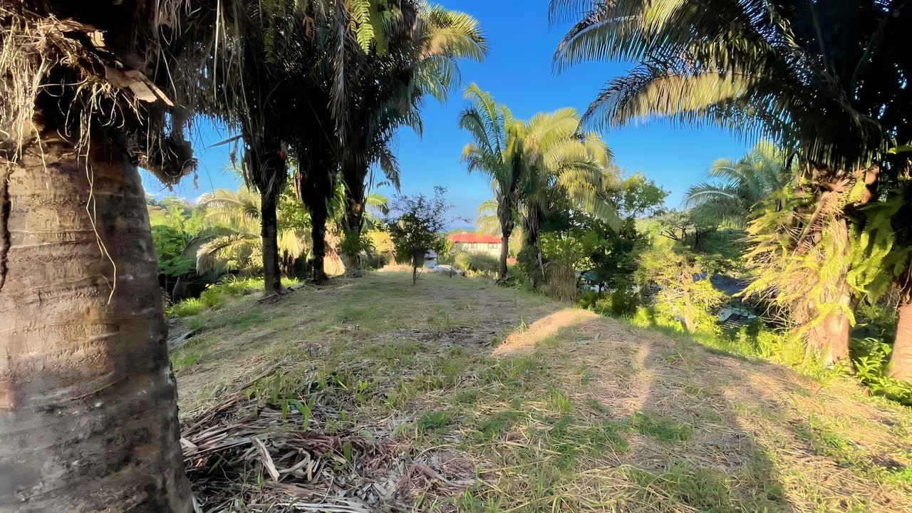  Exclusive Hermosa 1.2 Acre Lot with Panoramic Mountains and Ocean View. 