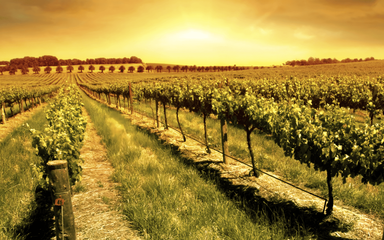 Livermore Valley Wineries 2021