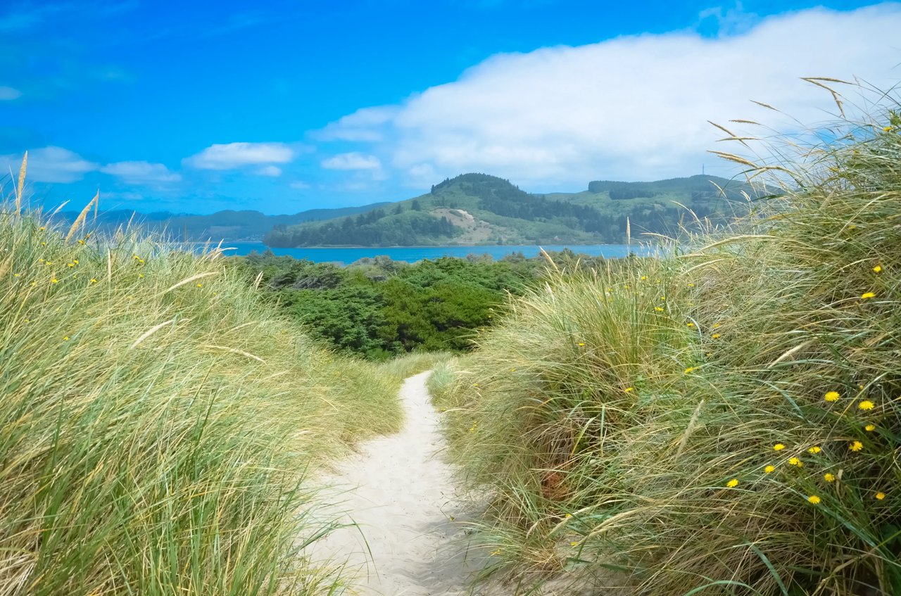 Nehalem Bay Dunes looking toward Wheeler