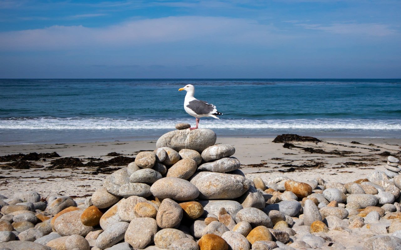 Pebble Beach
