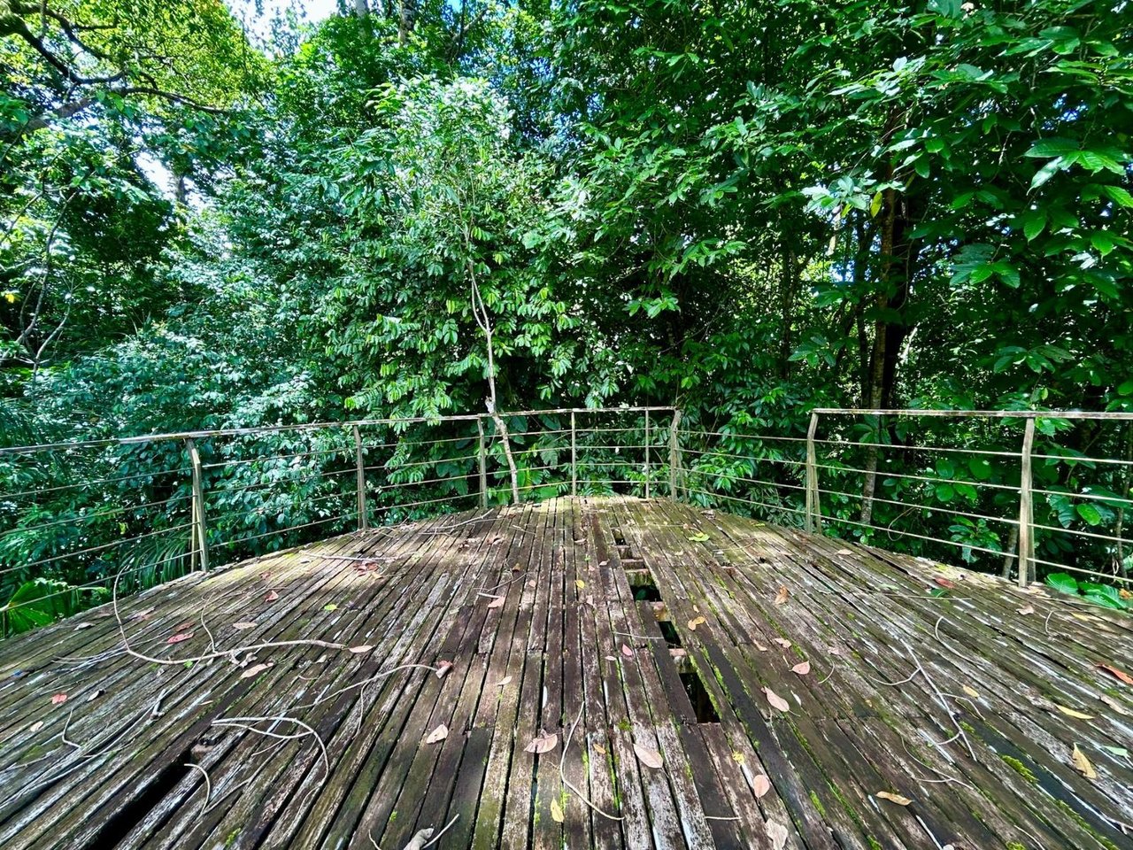 Tropical Forest Fixer Upper, Osa, Puntarenas