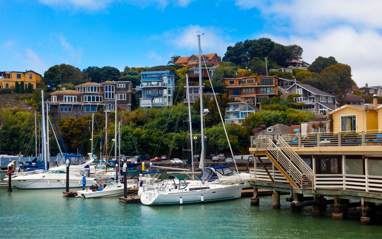 A group of boats are docked in a harbor with houses on a hill in the background.