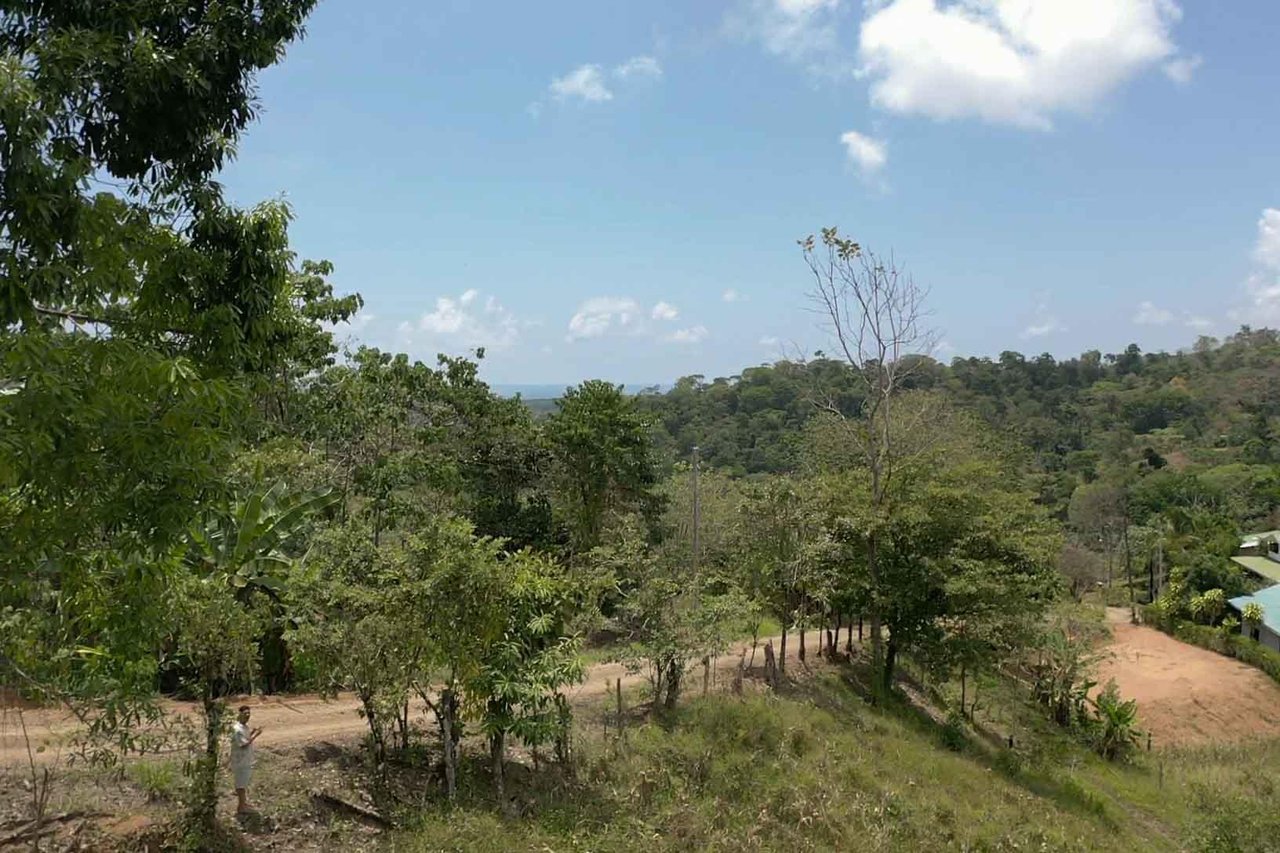 Lot Nestled In Charming Neighborhood With Stunning Mountain Views