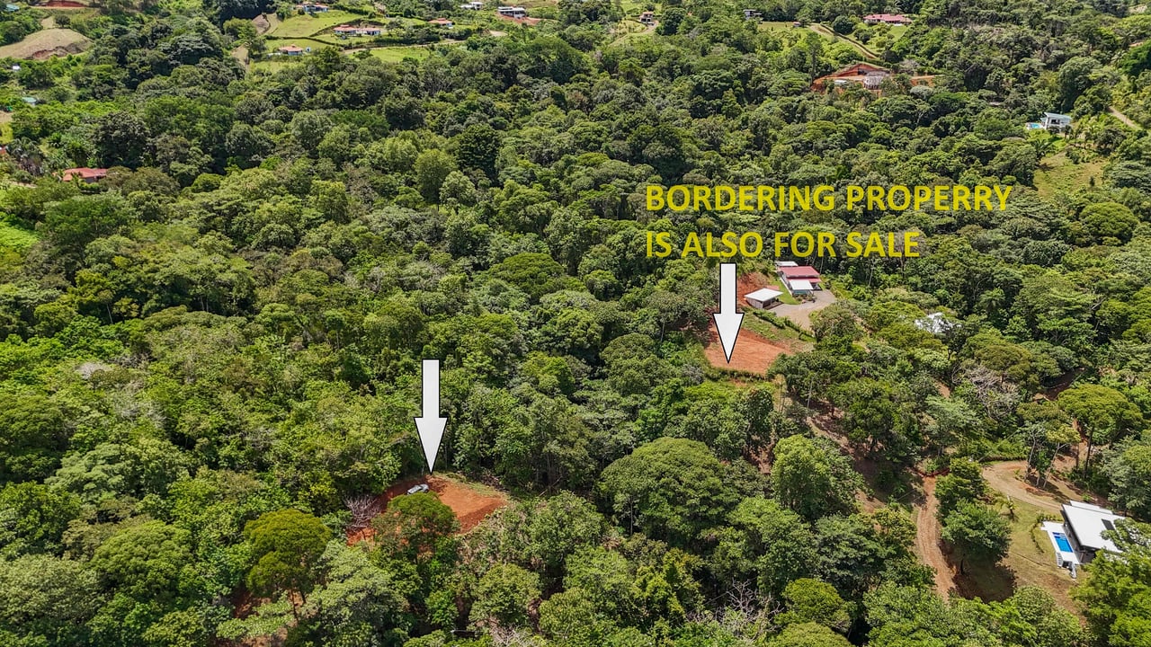 A jungle – and – creek border 1. 6 acre lot in a secure gated community, prepared and ready for your dream home!. 