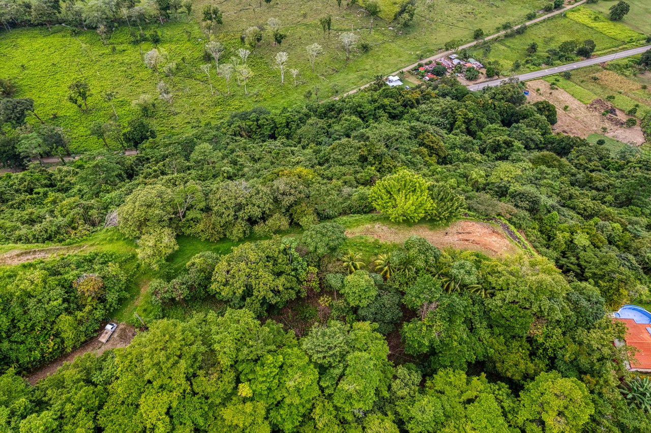 Coronado Estates Development Farm