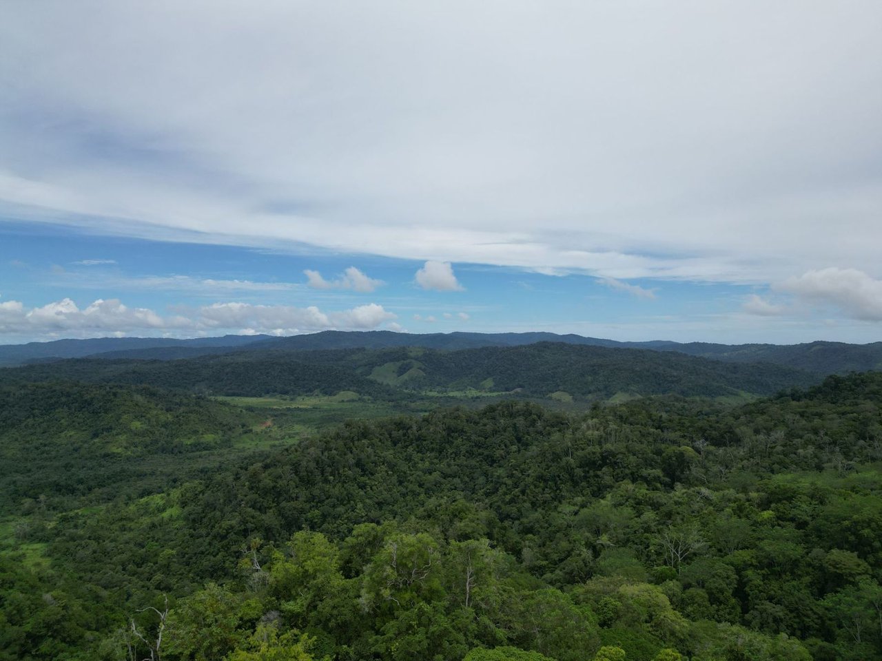 Ocean View Rainforest Acreage, Osa, Puntarenas