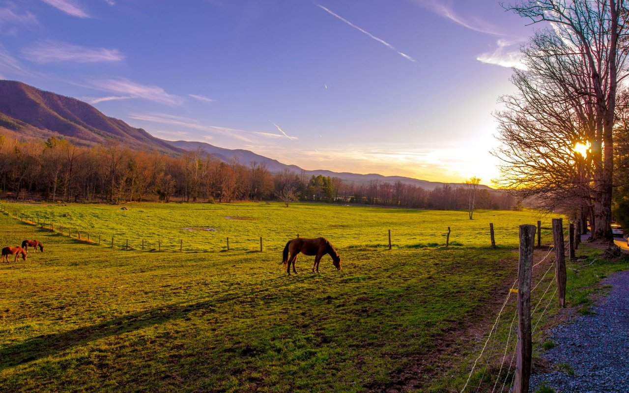Spring Hill