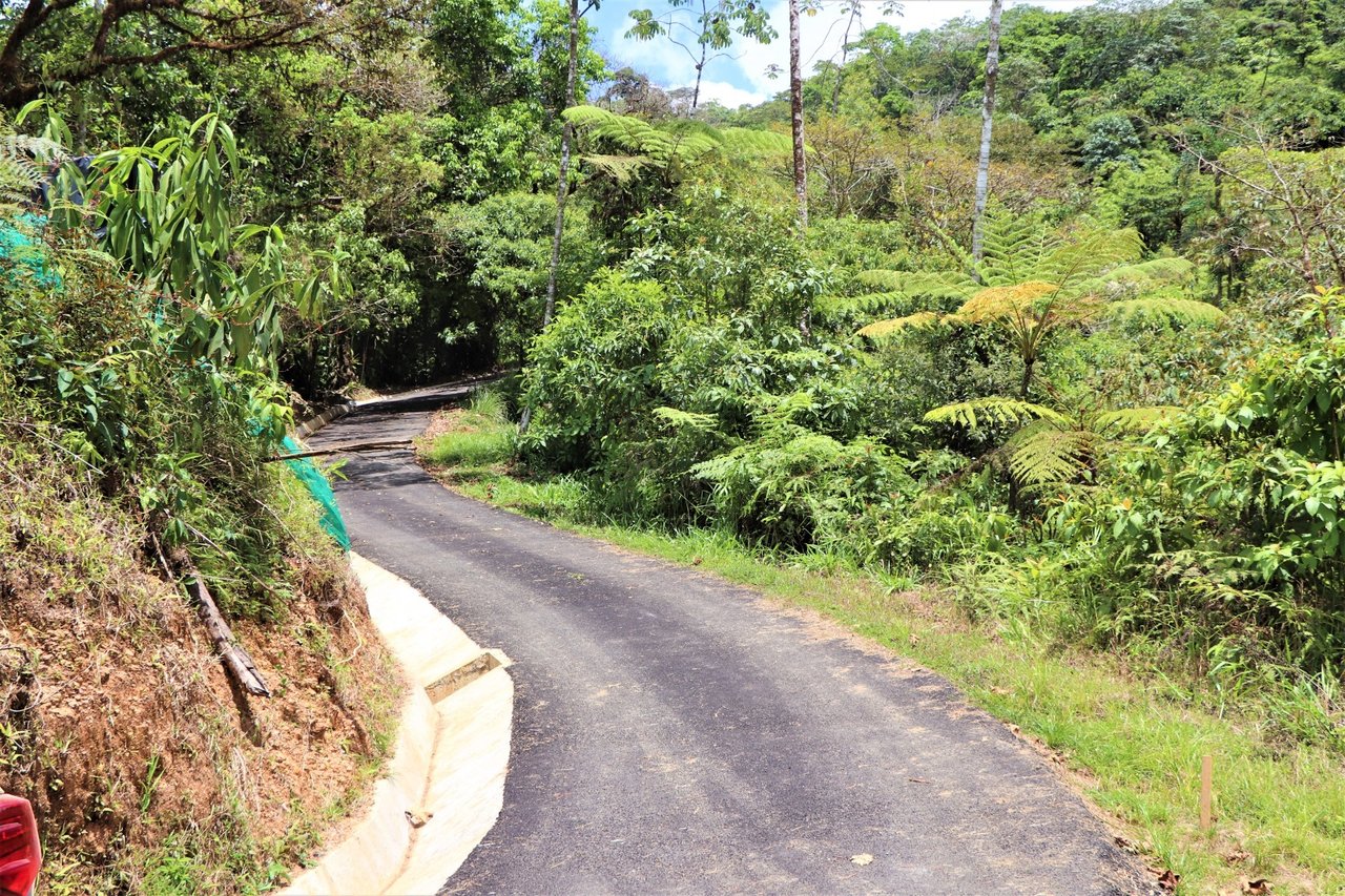 Large Development Farm, Ojochal, Puntarenas