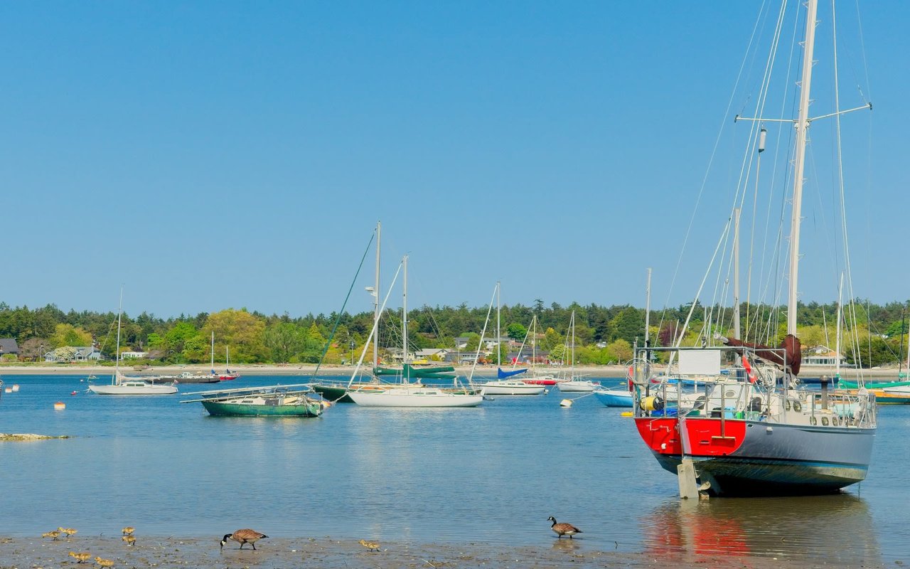 Ten Mile Point | Cadboro Bay