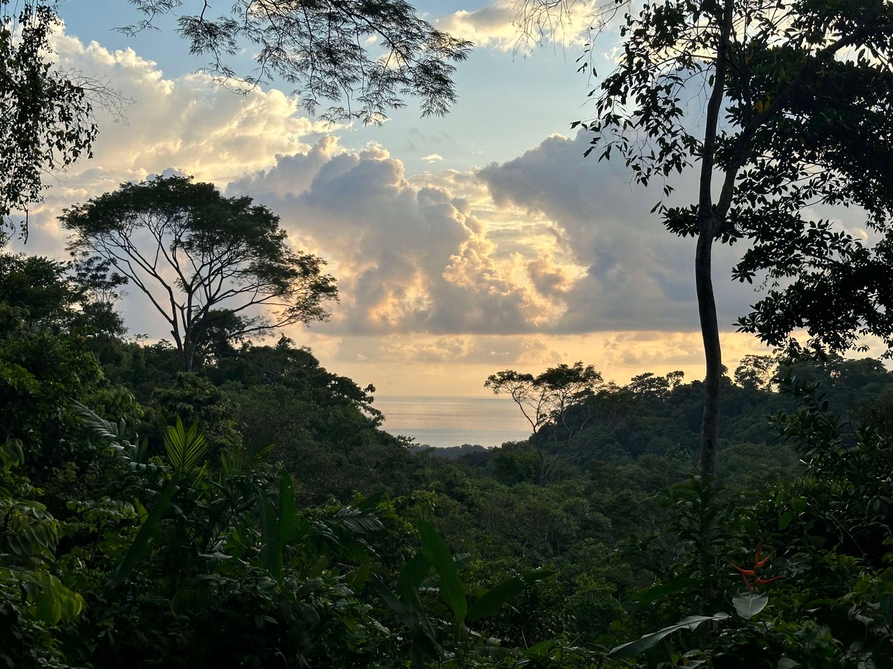 Secluded Ocean view Land in Dominical, Costa Rica