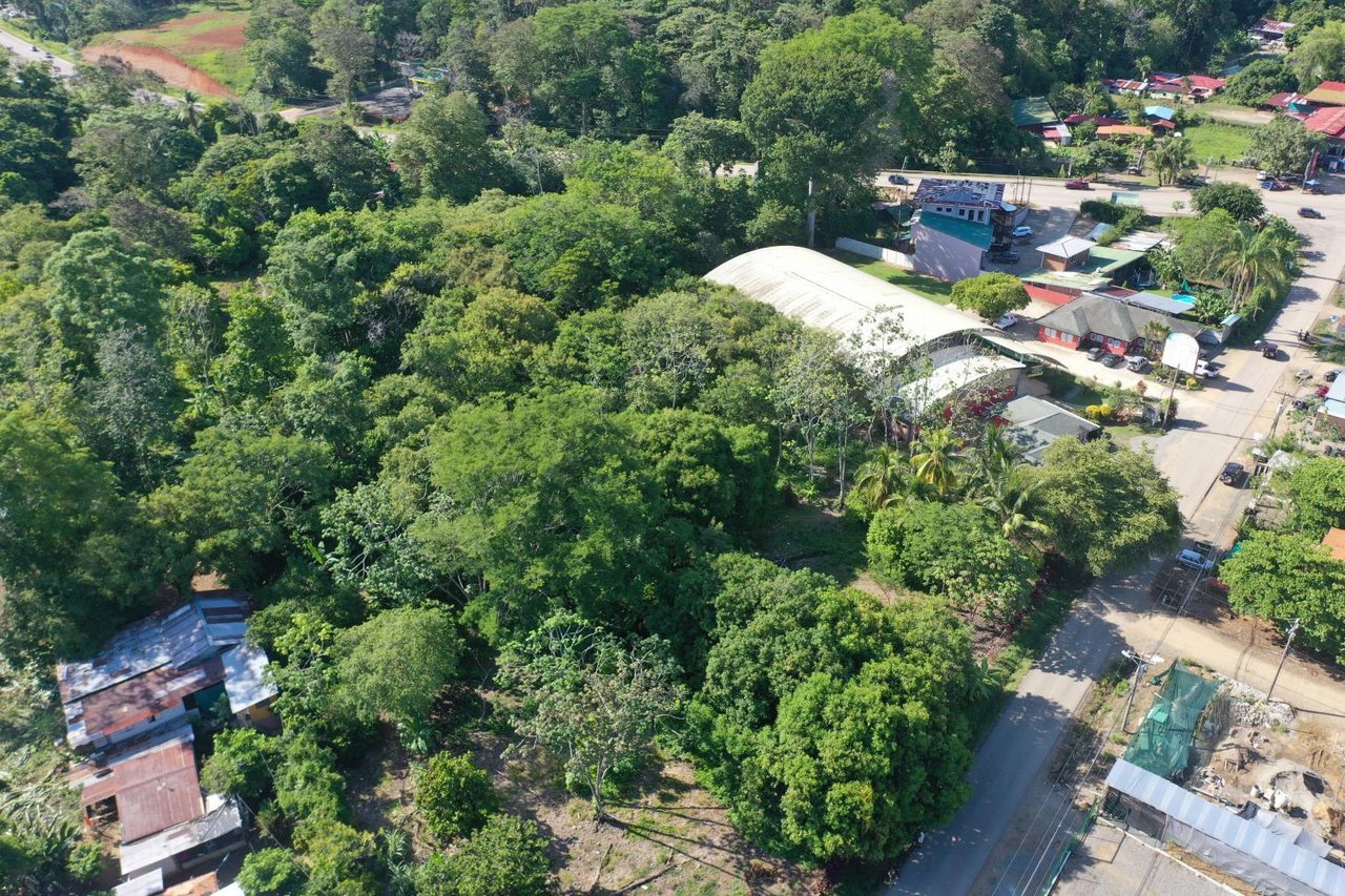 Flat And Usable Commercial Lot In The Heart Of Uvita With 90 Meters Paved Road Frontage!