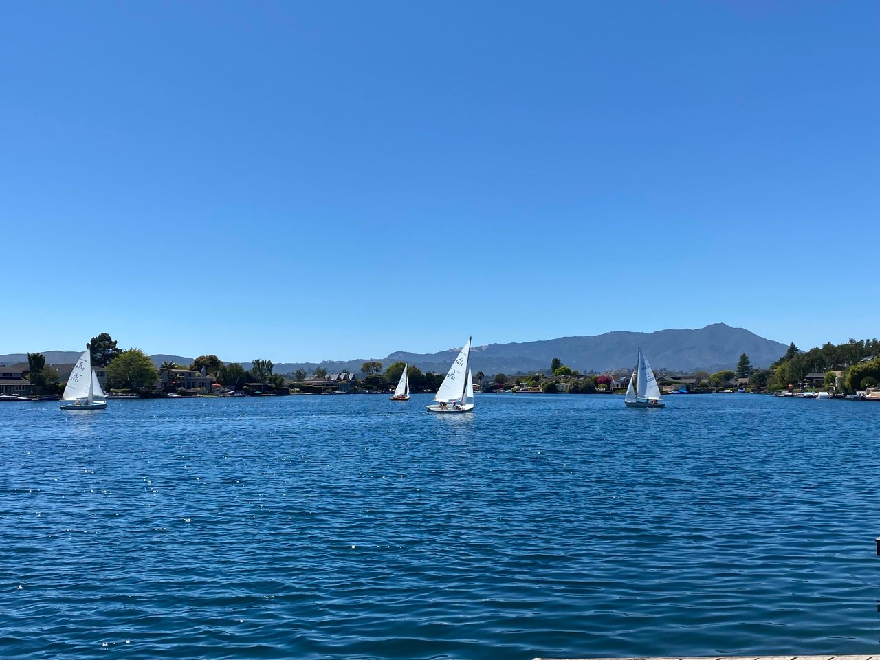 Beautiful Belvedere Lagoon