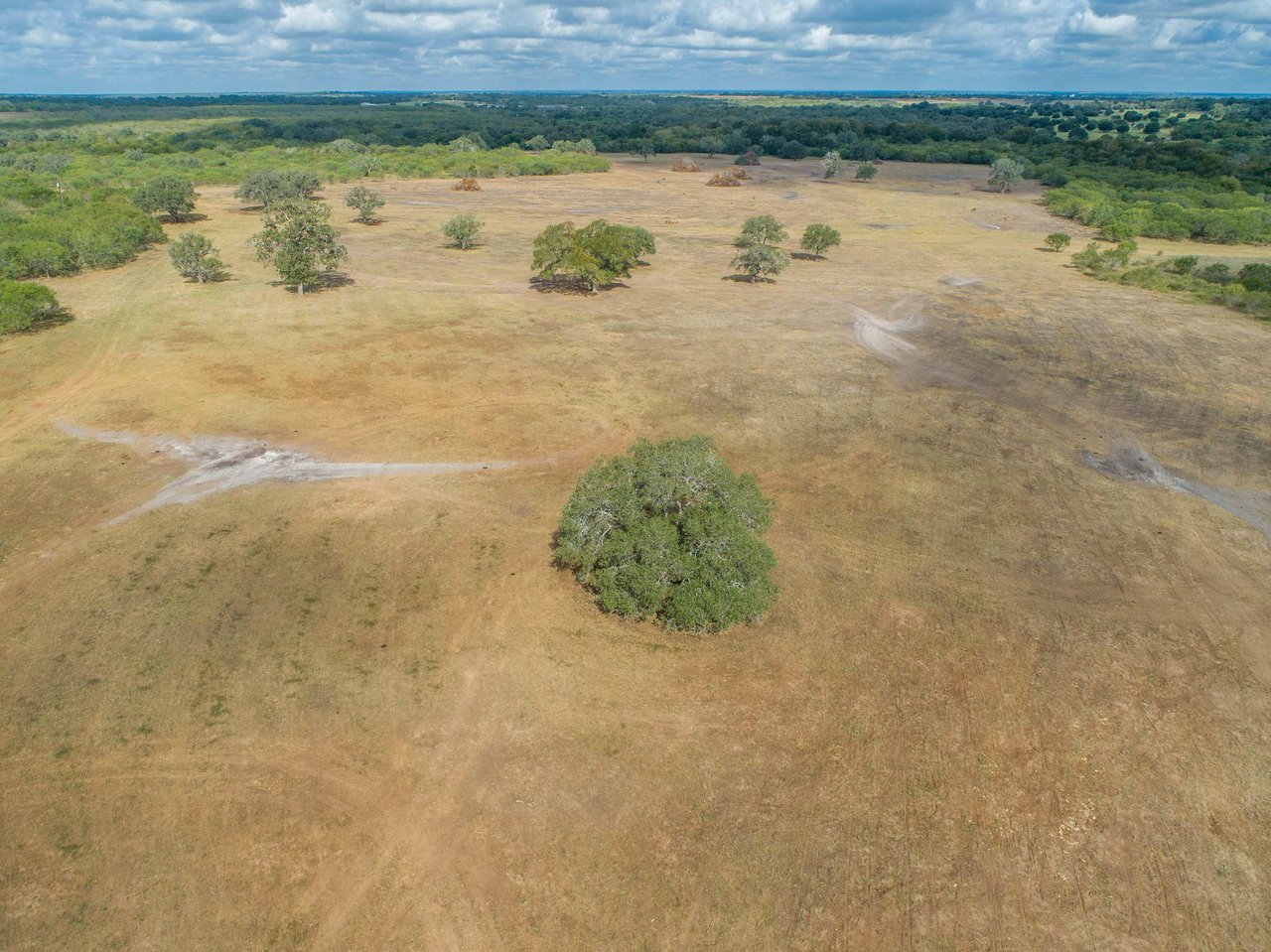 The Poco Loco | 278± Acres | DeWitt County