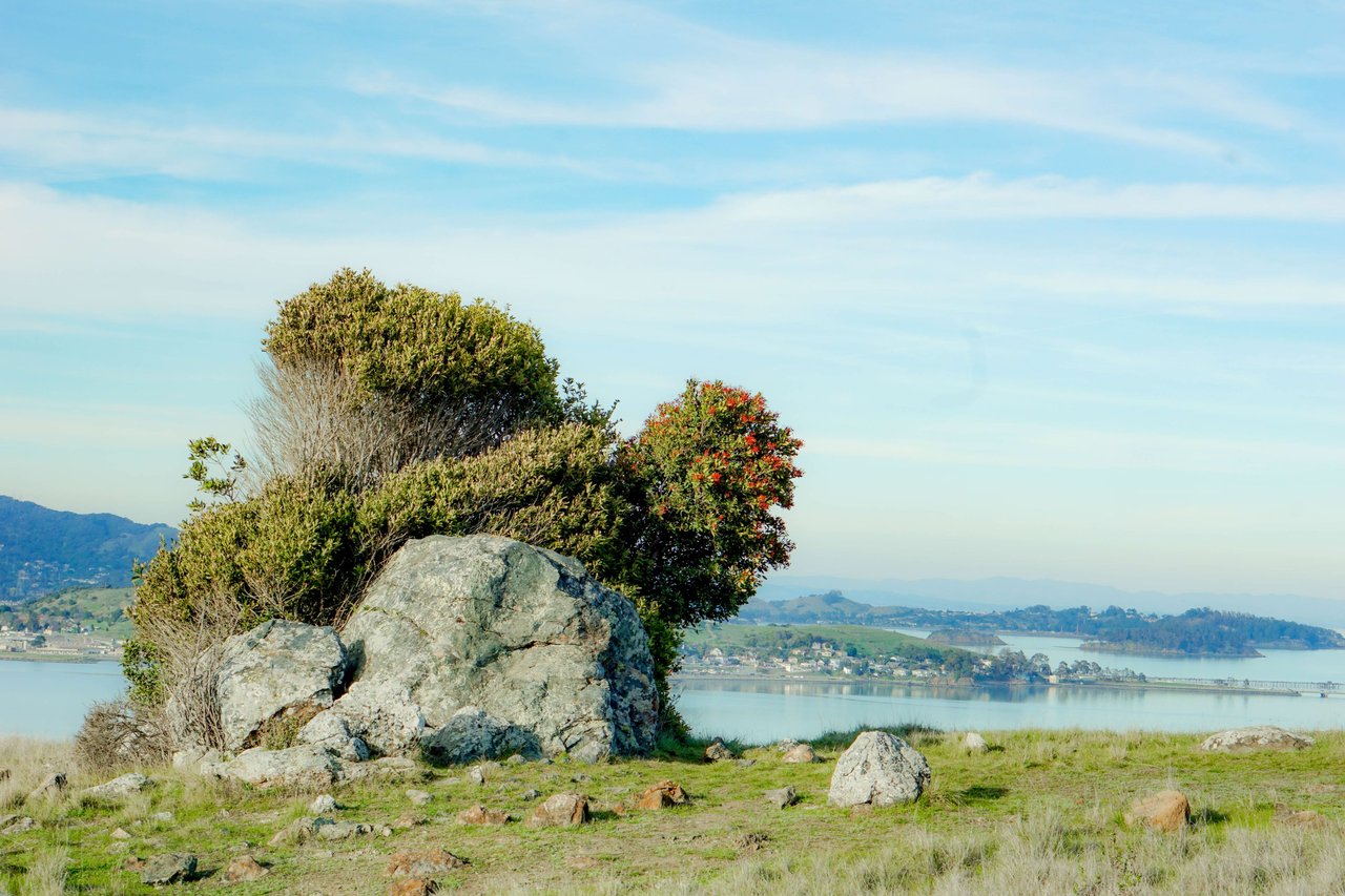 A large, round rock sits on a grassy hilltop.