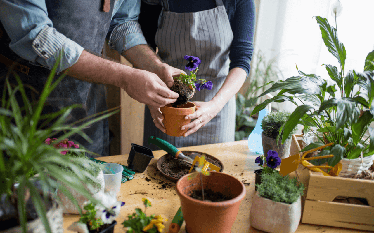 What Are the Most Popular Landscaping Trends in 2023?