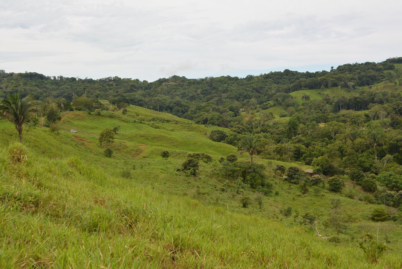 GORGEOUS 35 ACRES WITH WATERFALL AND 360 VIEWS 