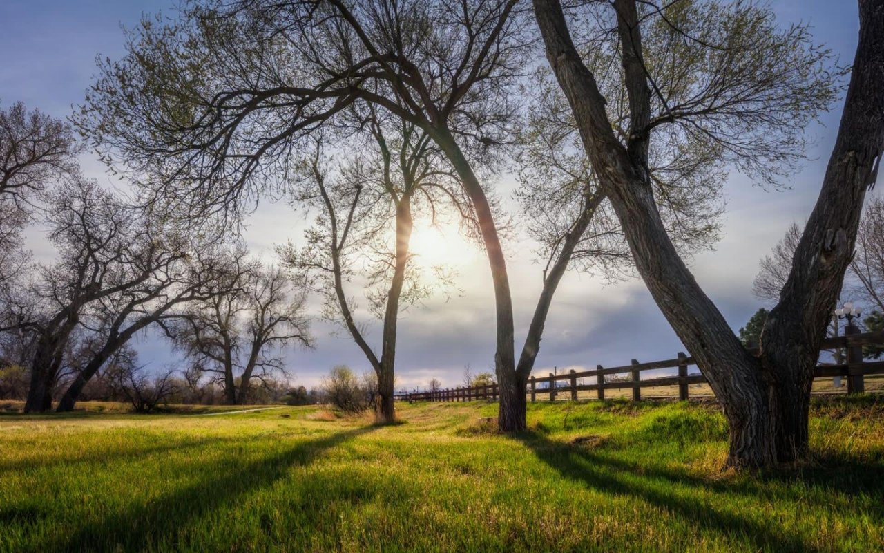 Things to Do in Parker, CO