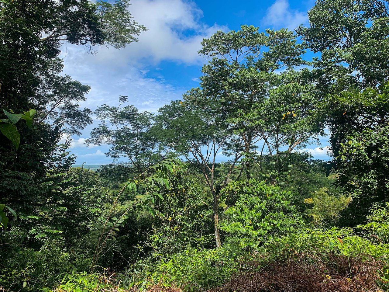 Farm In Chontales, 47 Acres With Ocean View And River