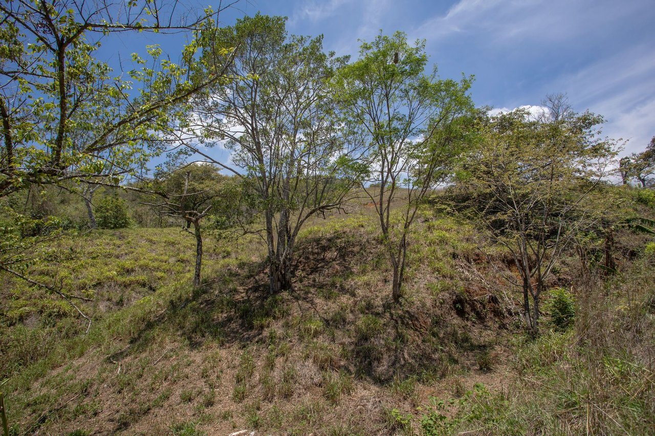 Central Valley View Parcel, Ciudad Colon, San Jose