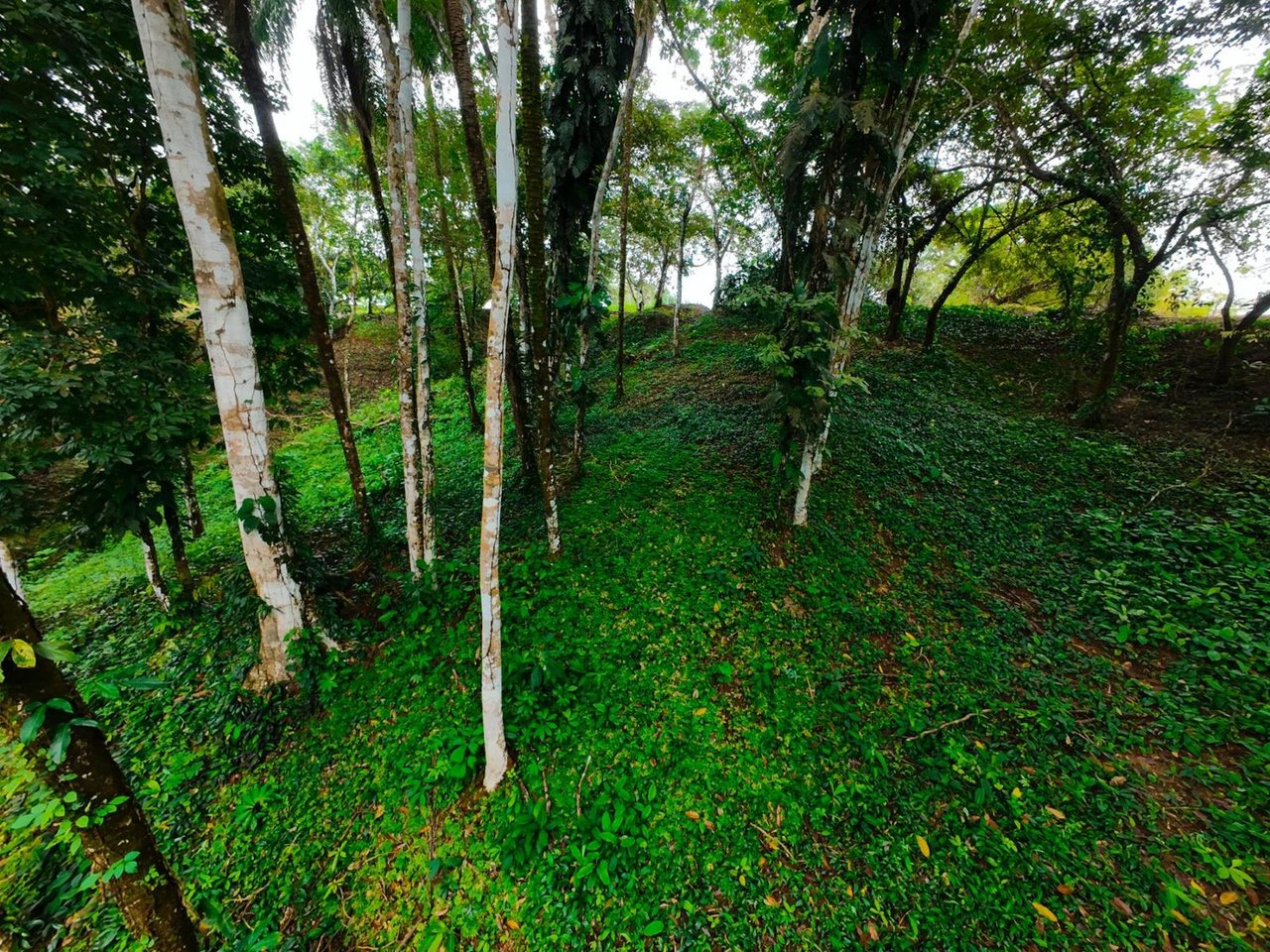 Private Ocean View Development Lot, Ojochal, Puntarenas