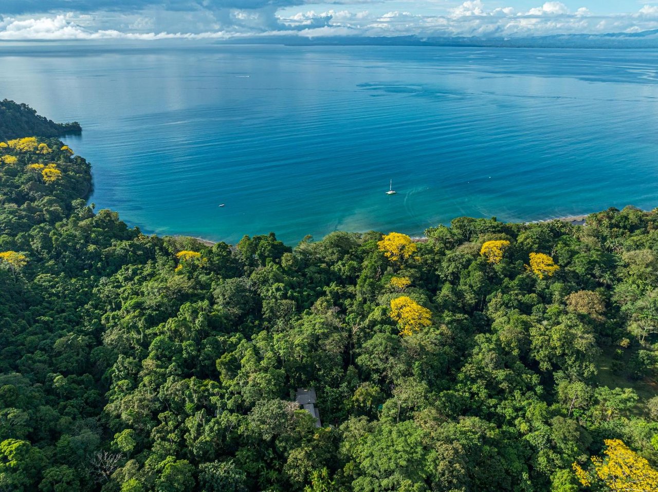 Private Beachfront Rainforest Estate, Osa, Puntarenas