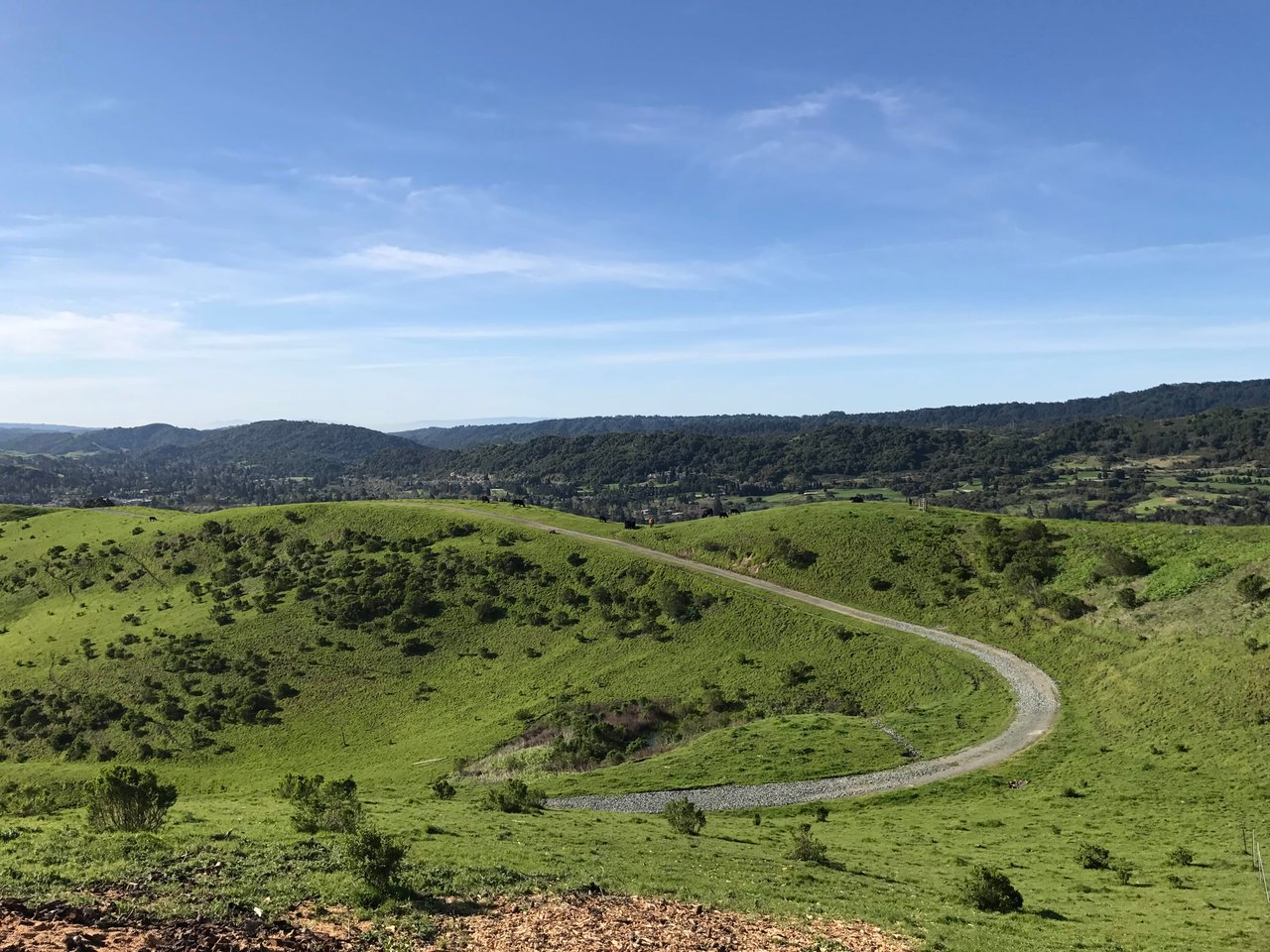 Orinda