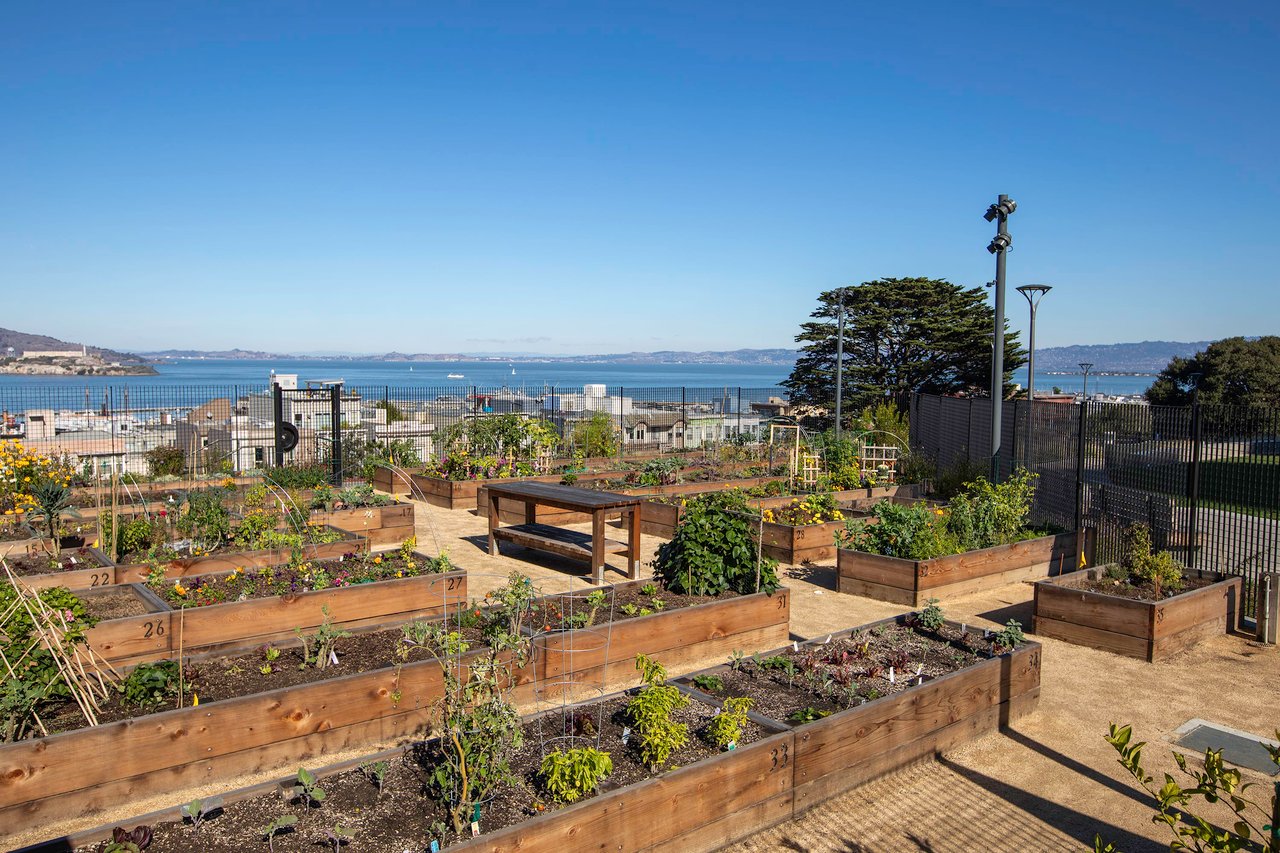 Three Bedroom Apartment With Golden Gate View