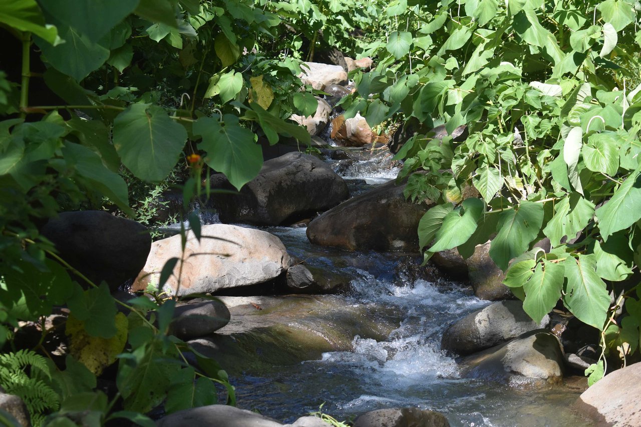 Rio Chiquito Farm | This farm offers an expansive canvas to bring your dreams to life in the majestic Guanacaste mountain rainforest region.