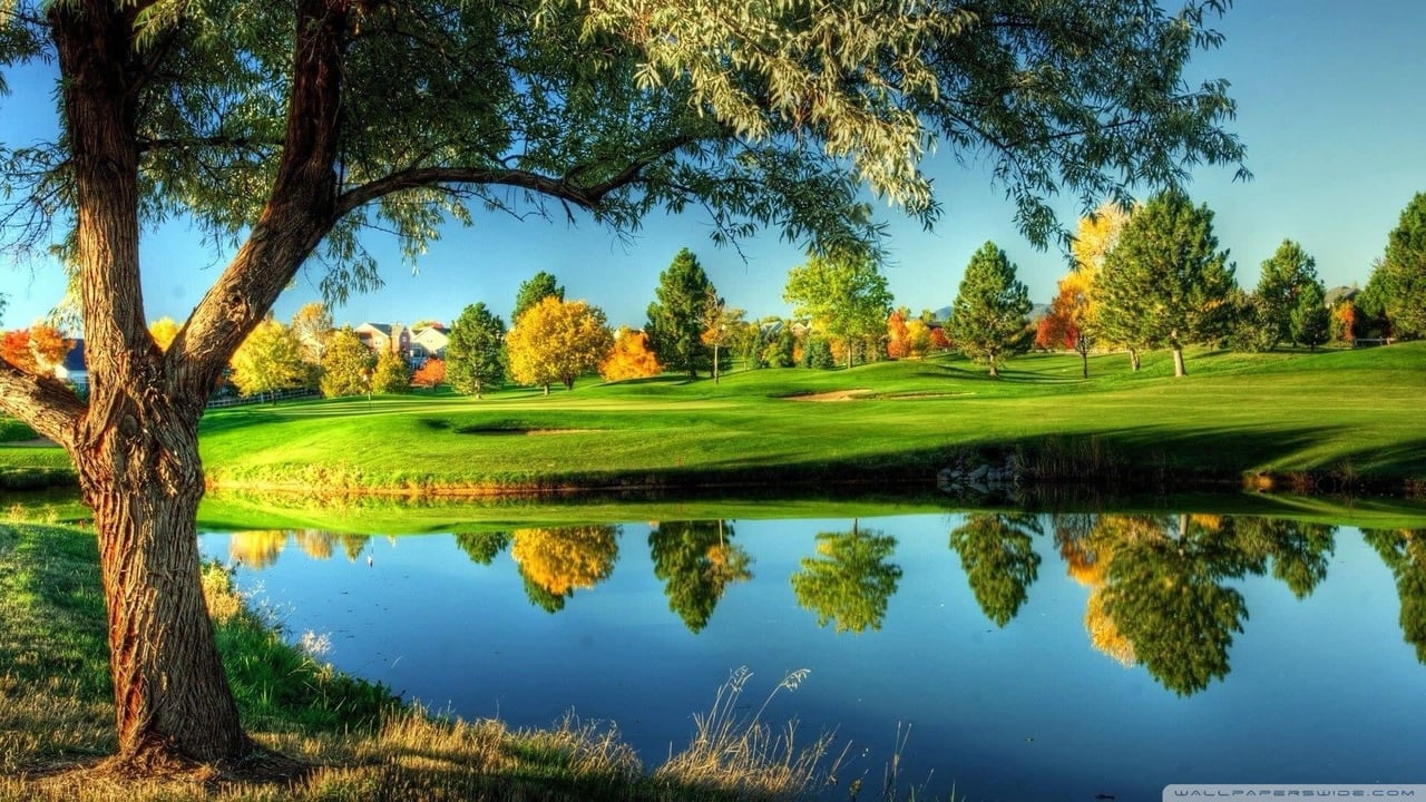 Golf Real Estate Trends 