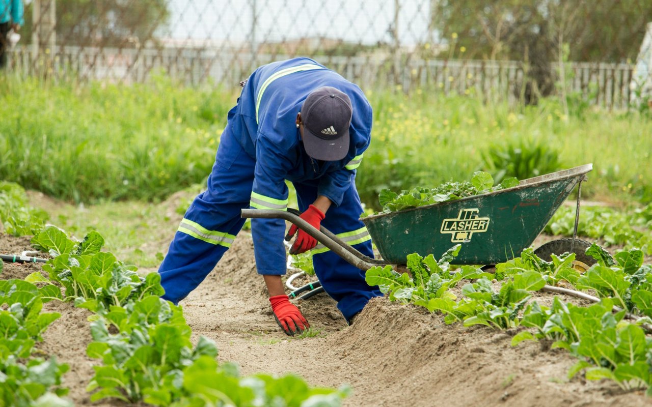 Growing Places Indy – 30 Days of Thanksgiving