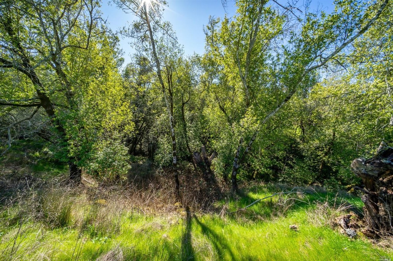 5289 Sonoma Mountain Rd