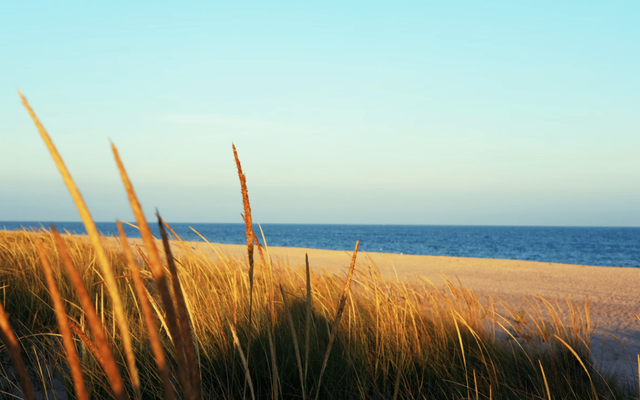 Moving to East Hampton, NY