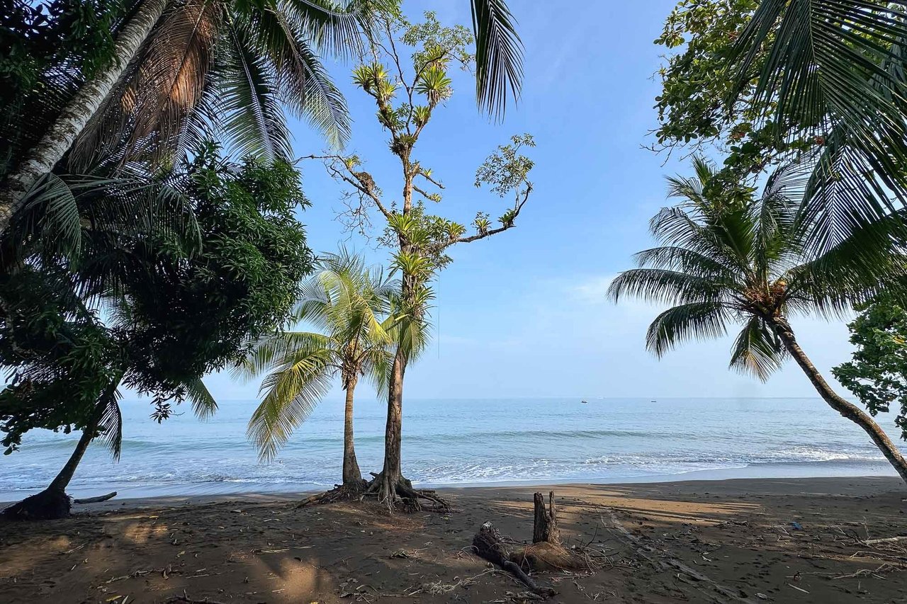 Waterfall Beachfront Estate, Osa, Puntarenas