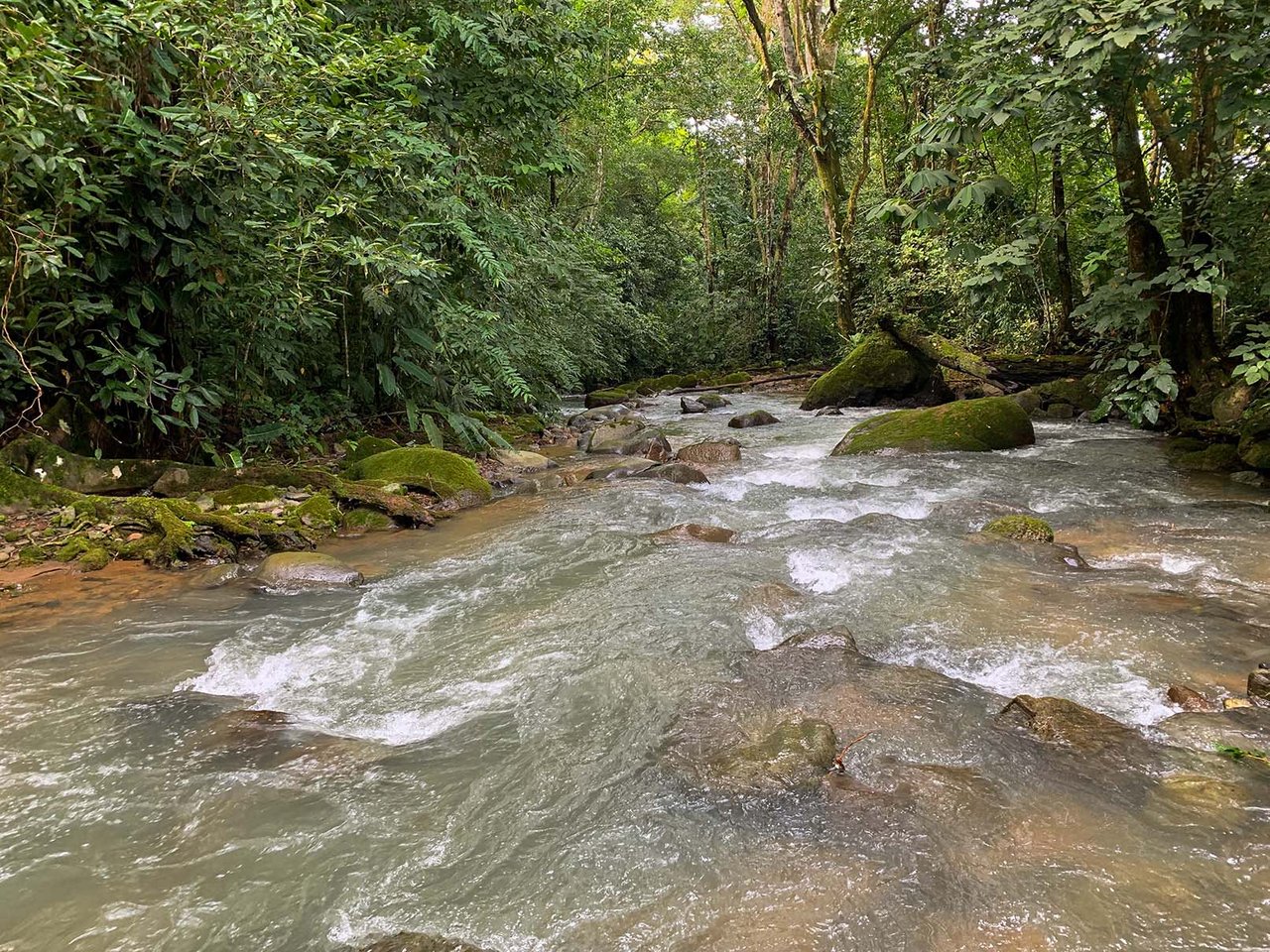 Farm In Chontales, 47 Acres With Ocean View And River