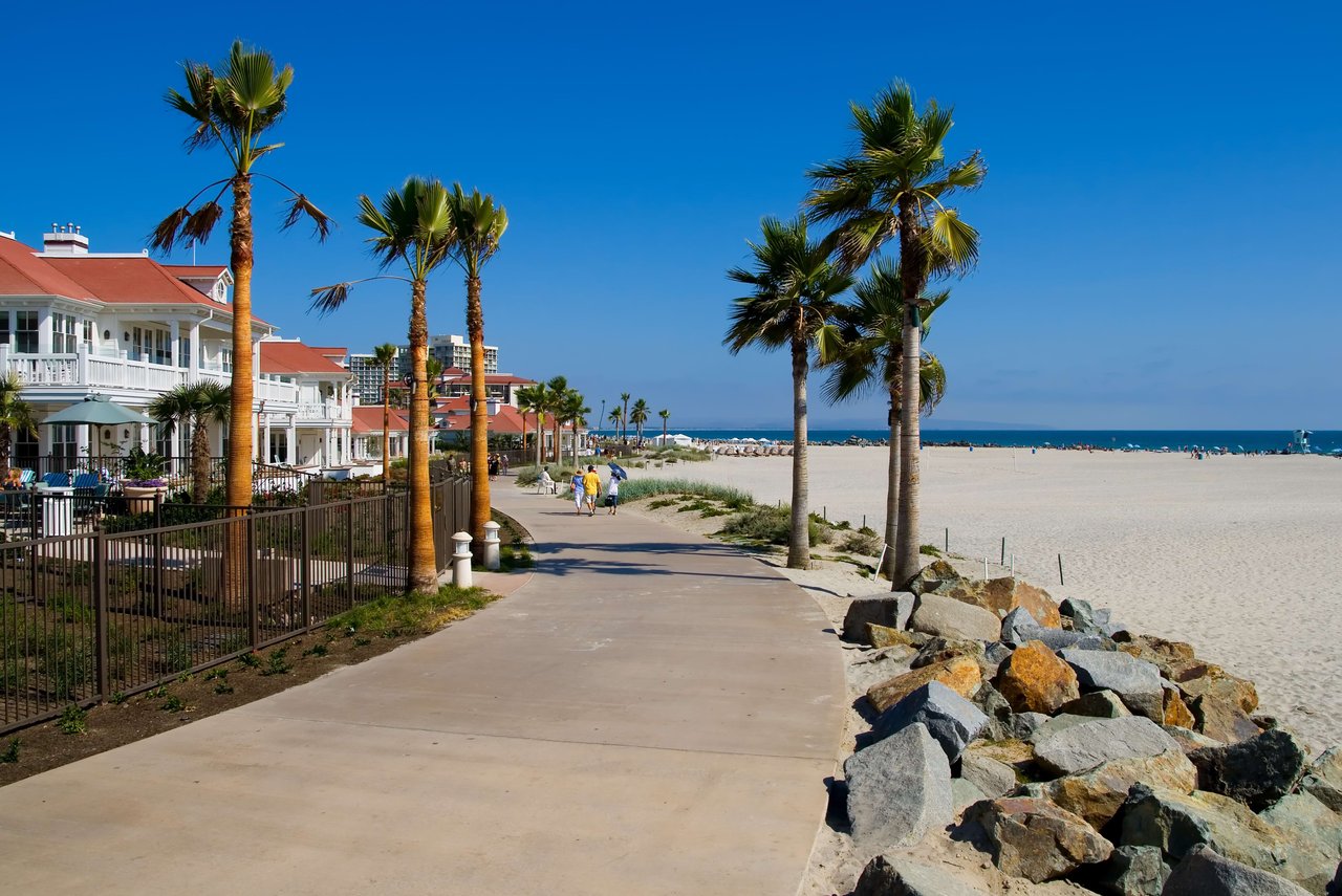 a walkway lined with palm trees leading to a beach with palm trees and rocks