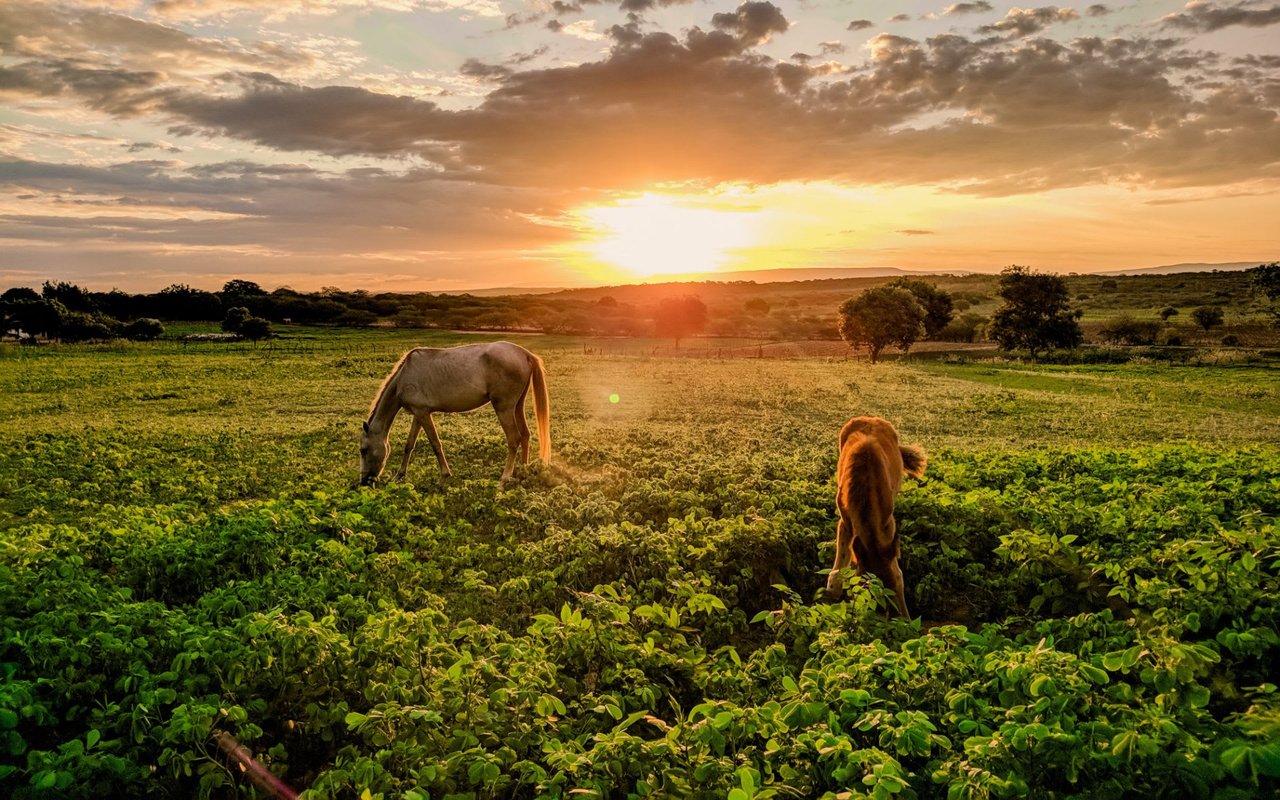 Do These 5 Things if You Want to Sell Your Ranch for Top Dollar